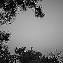 《刺客信条》其它新作将不会在2024年之前发售